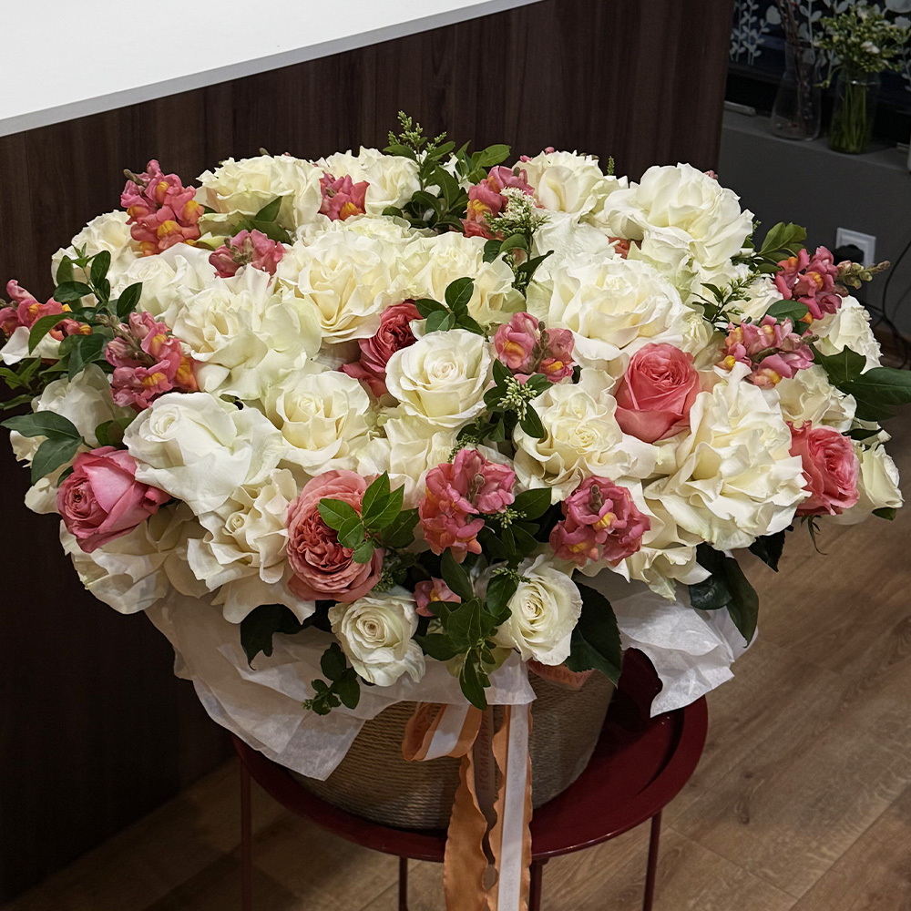 Ivory Coral Garden
